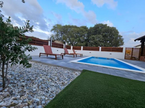 Holiday Home Niko with heated pool